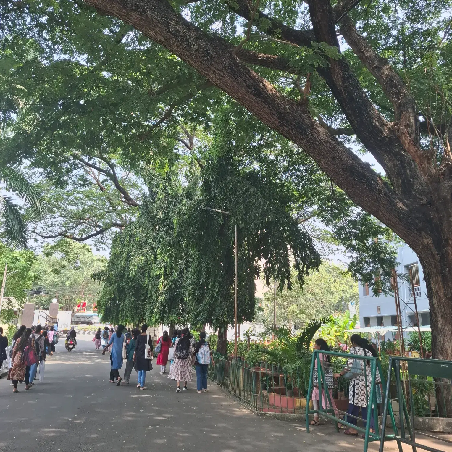 Stella Maris College Chennai Campus photo 6